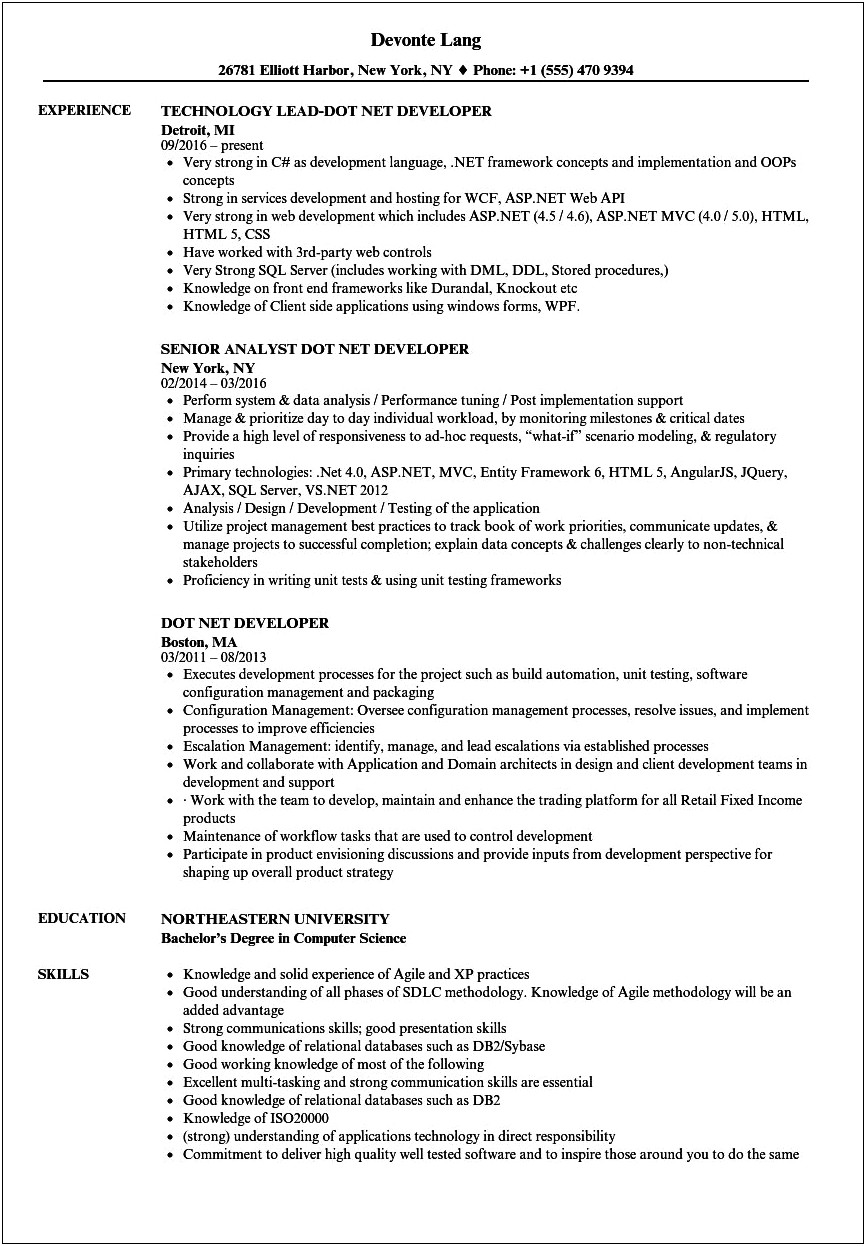 Net With Ssis Sample Resume