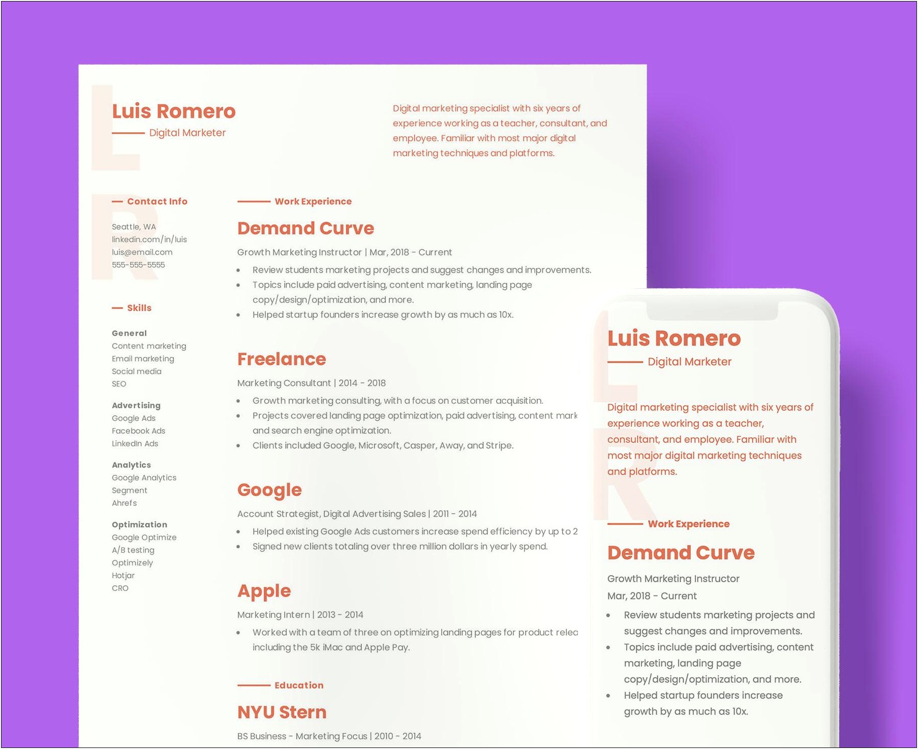 New Resume Format 2014 Sample