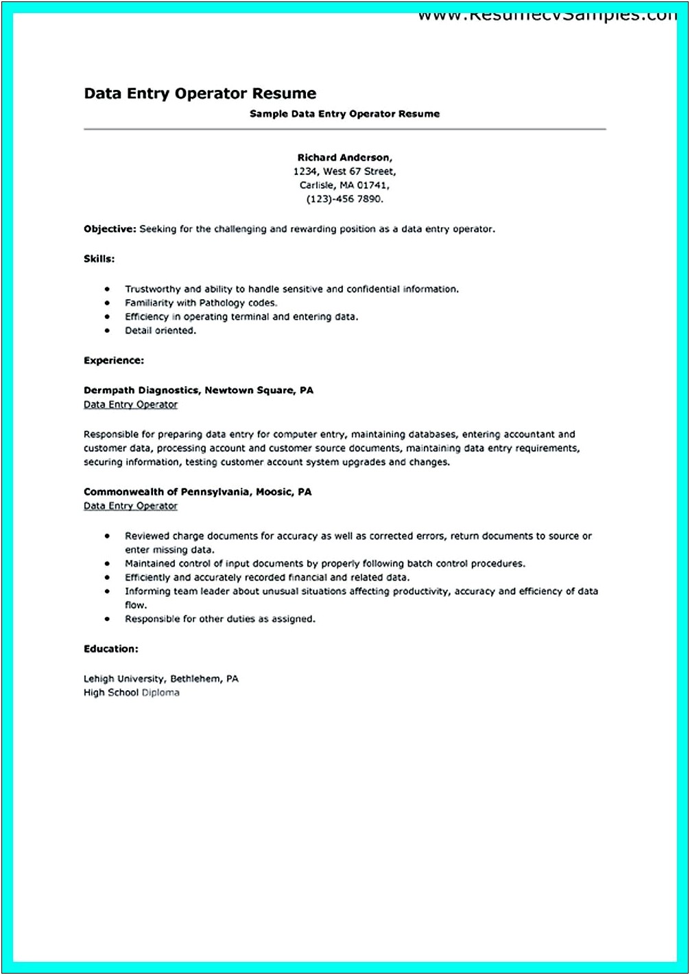 Objective For Computer Operator Resume
