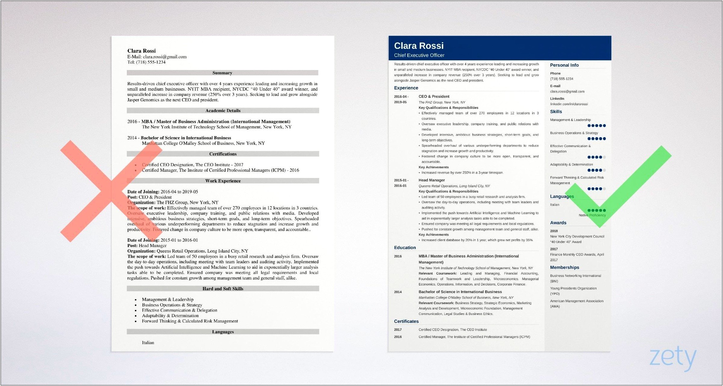 Objective For Executive Director Resume