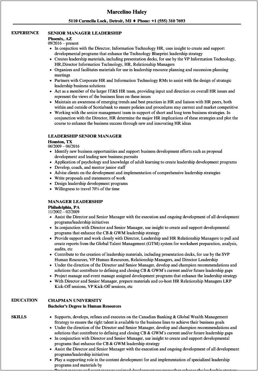 Objective Resume Statement For Leadership