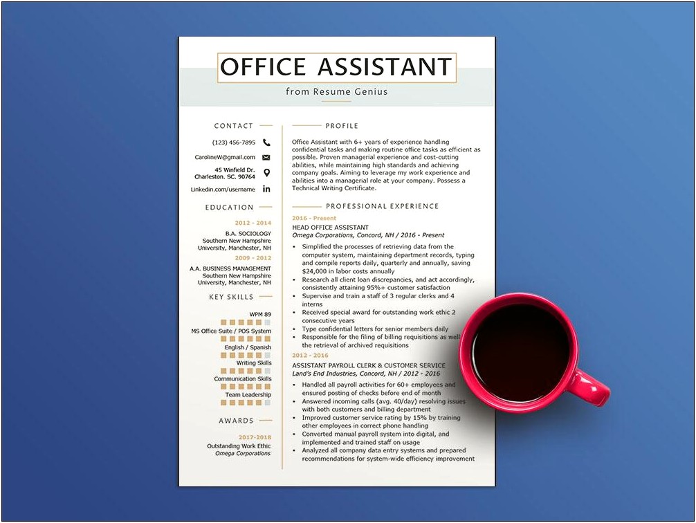 Office Assistant Resume Summary Example