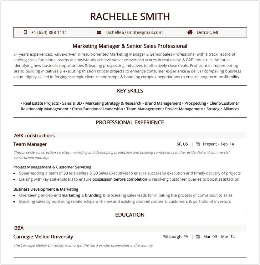 One Page Professional Resume Examples