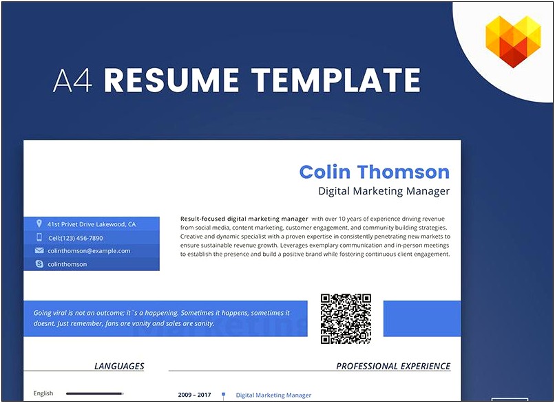 Online Marketing Manager Resume Example