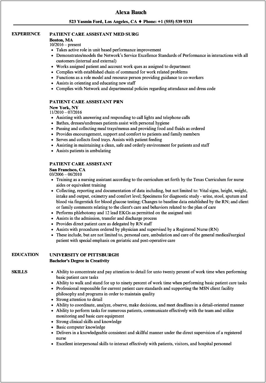 Personal Care Aide Resume Sample