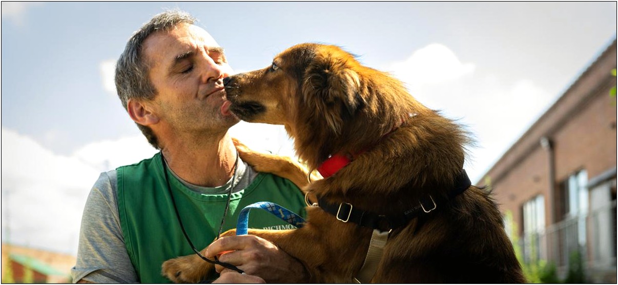 Pet Rescue Volunteer Resume Sample