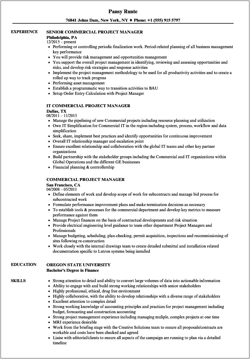 Pmp Finance Project Manager Resume