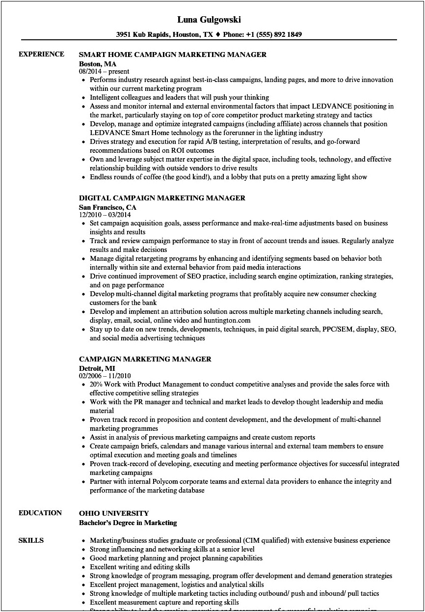 Political Campaign Manager Resume Example