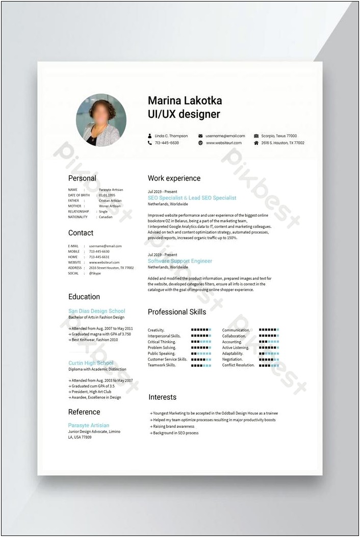 President Resume Template Free Download