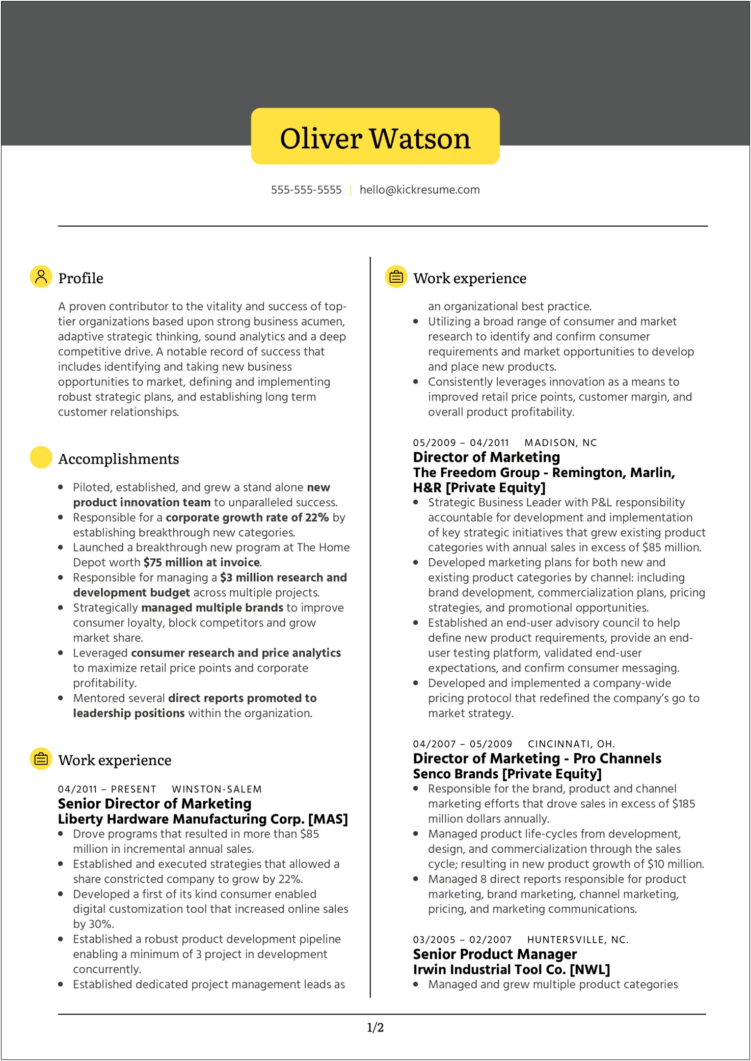 Private Equity Vice President Resume Sample