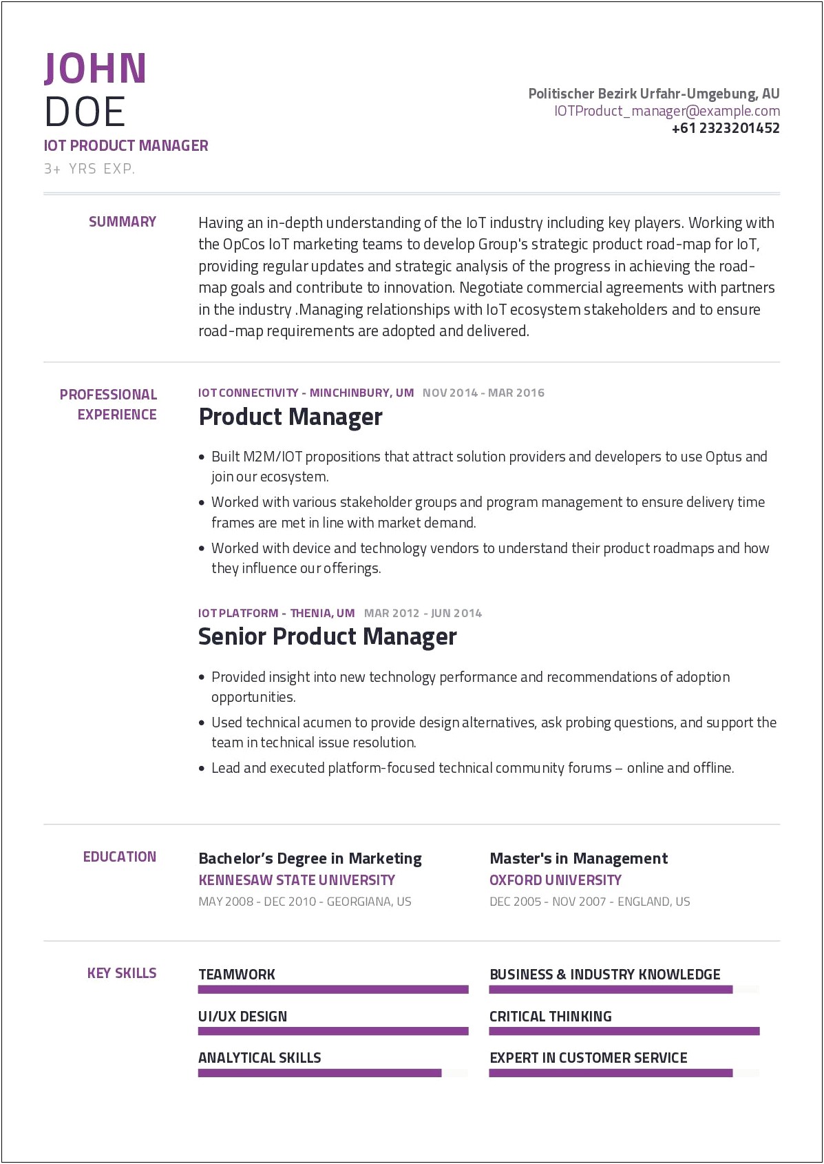 Product Line Manager Resume Sample