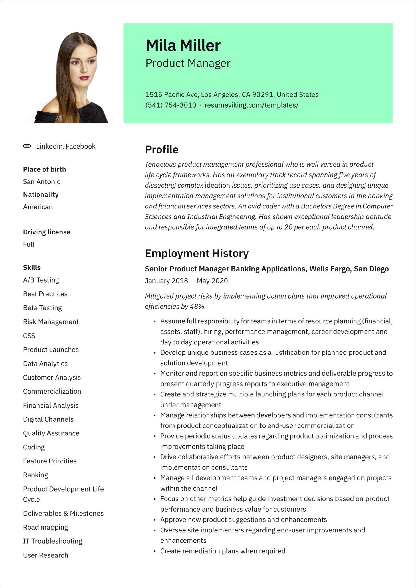 Product Manager Resume Templates Word