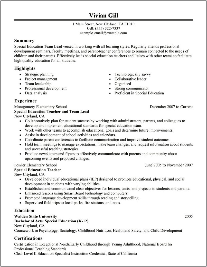 Professional Experience On Resume For Leadership Position
