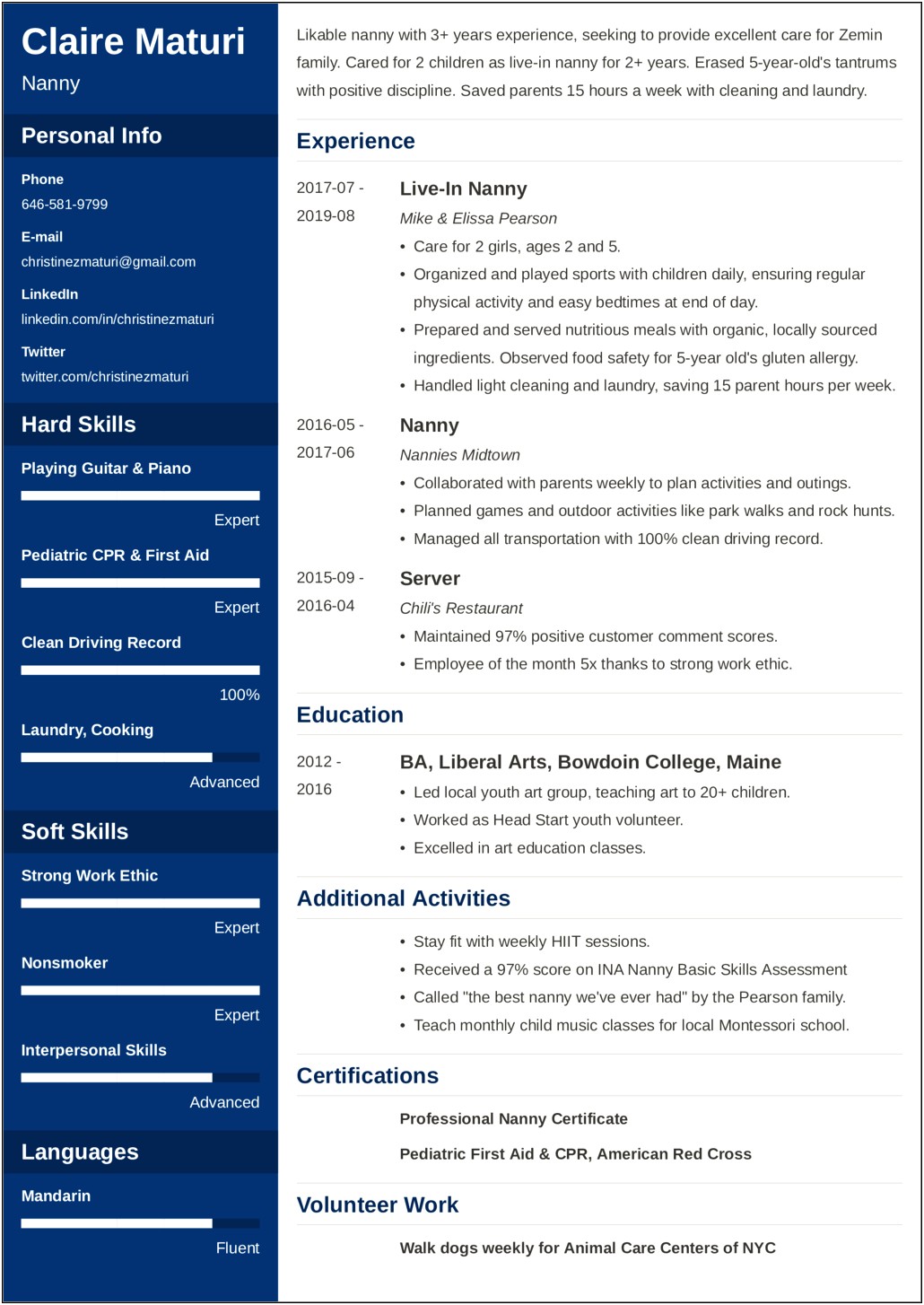 Professional Experienced Resume Sample Nanny