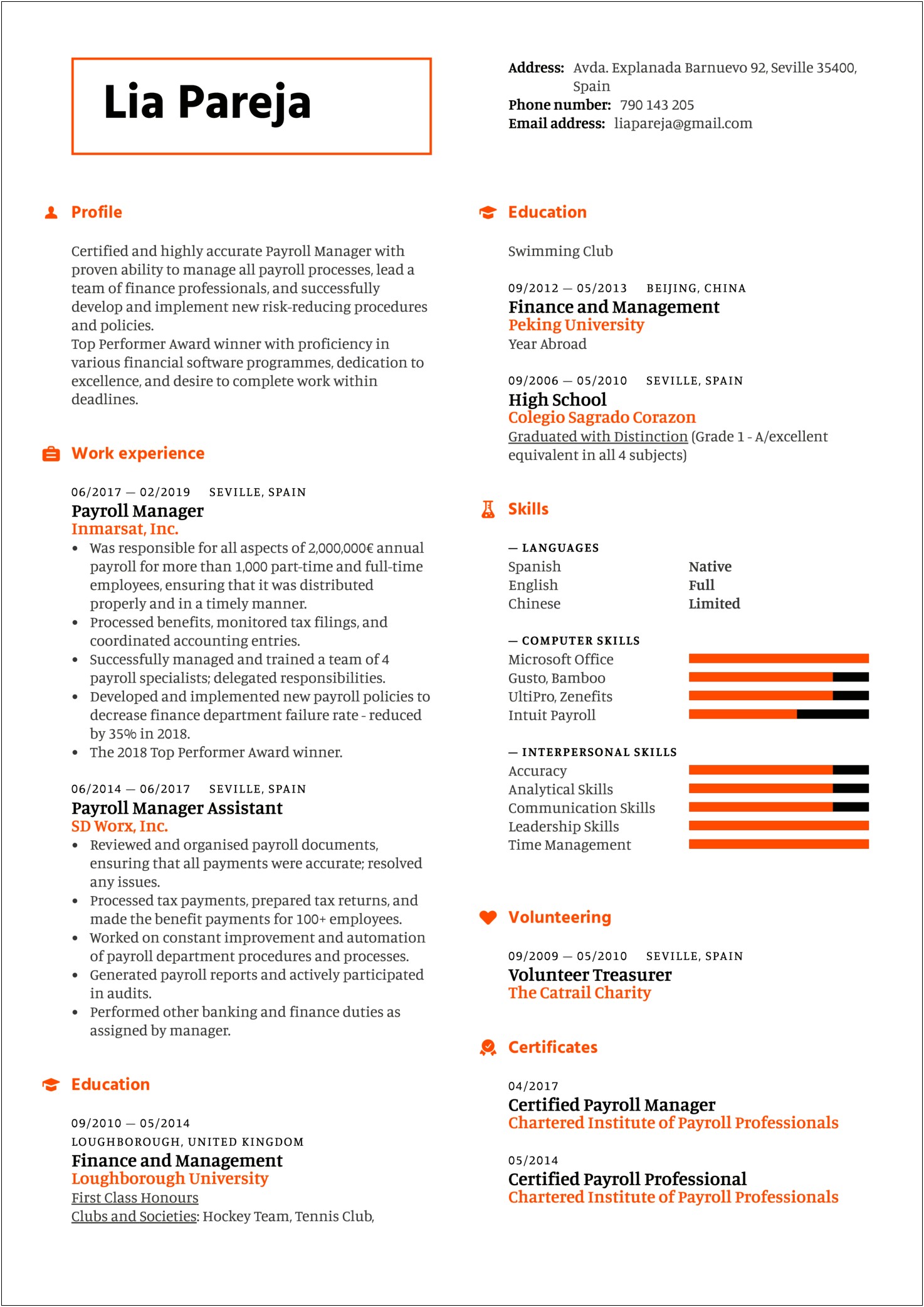 Professional Finance Manager Resume Template
