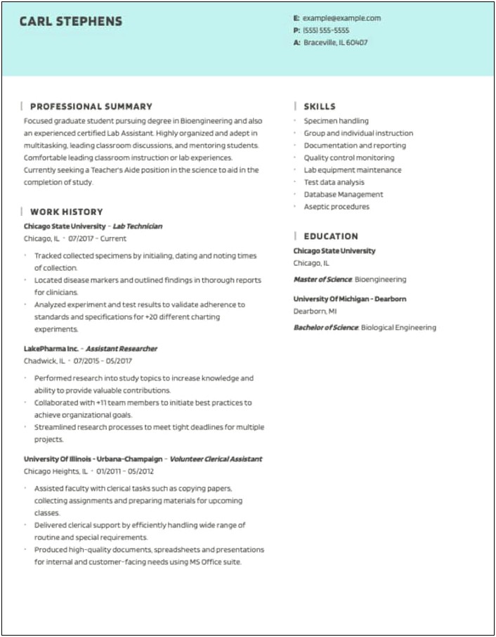 Professional Profile Resume Examples Cheat Sheet