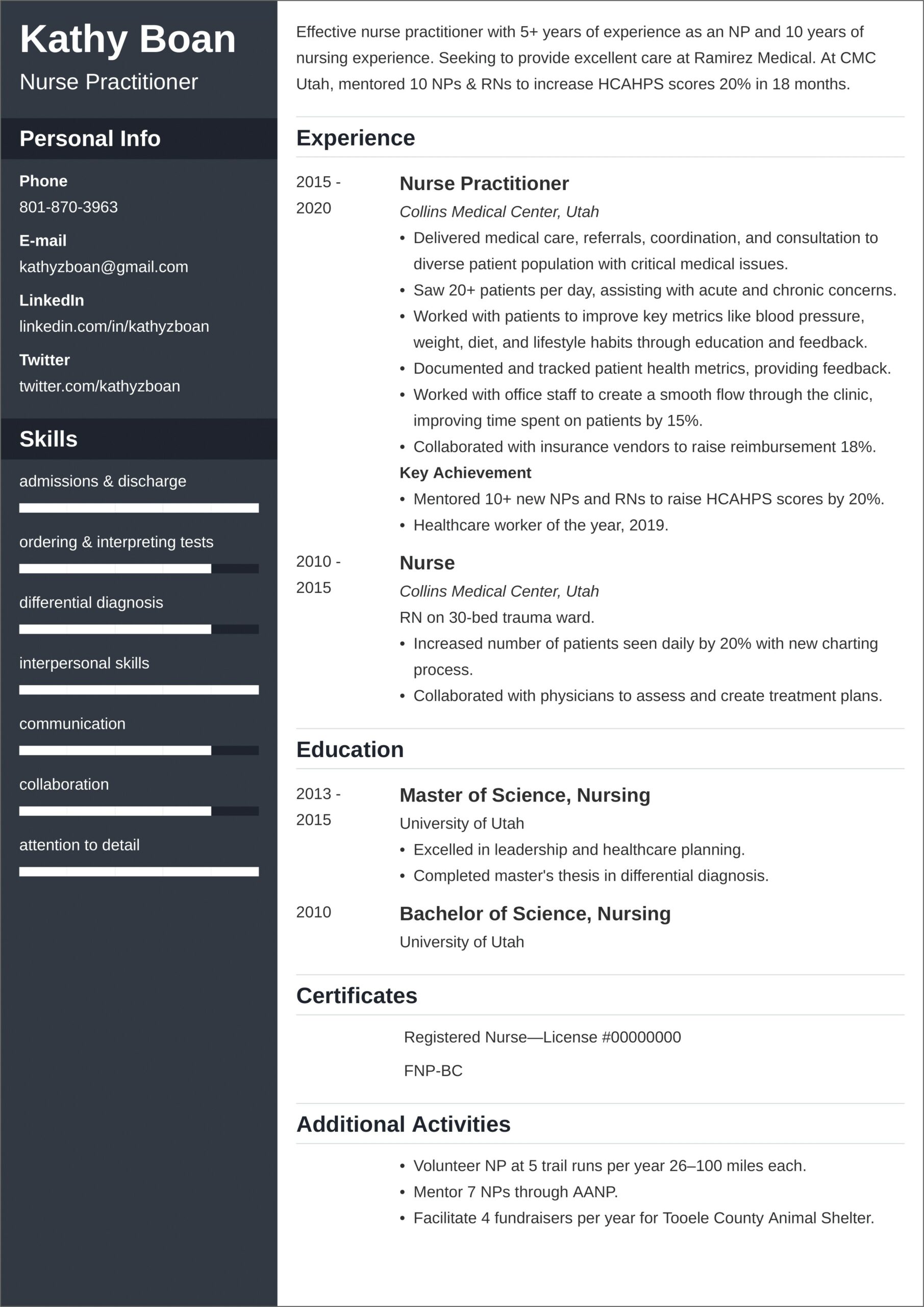 Professional Profile Resume Examples Nursing