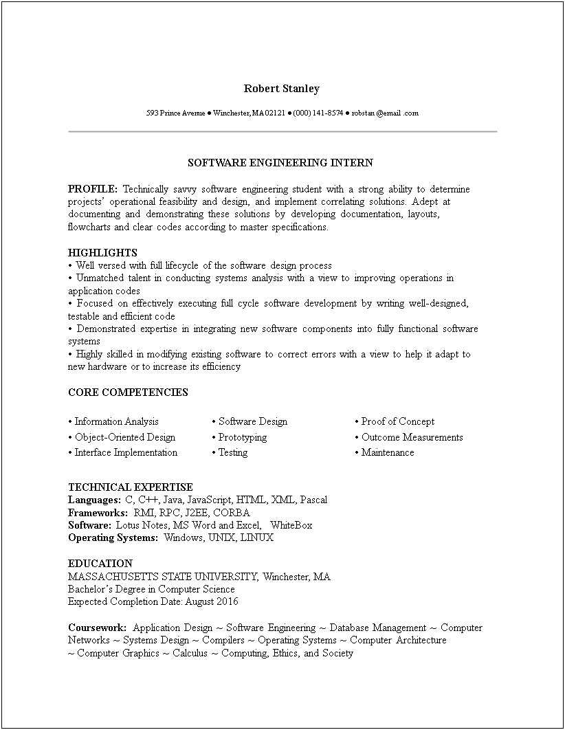 Professional Resume Examples Software Engineer