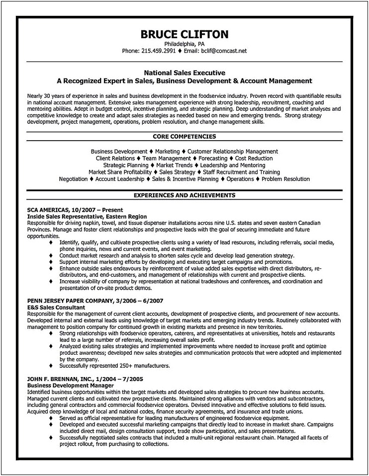 Professional Resume Summary Examples For Account Manager