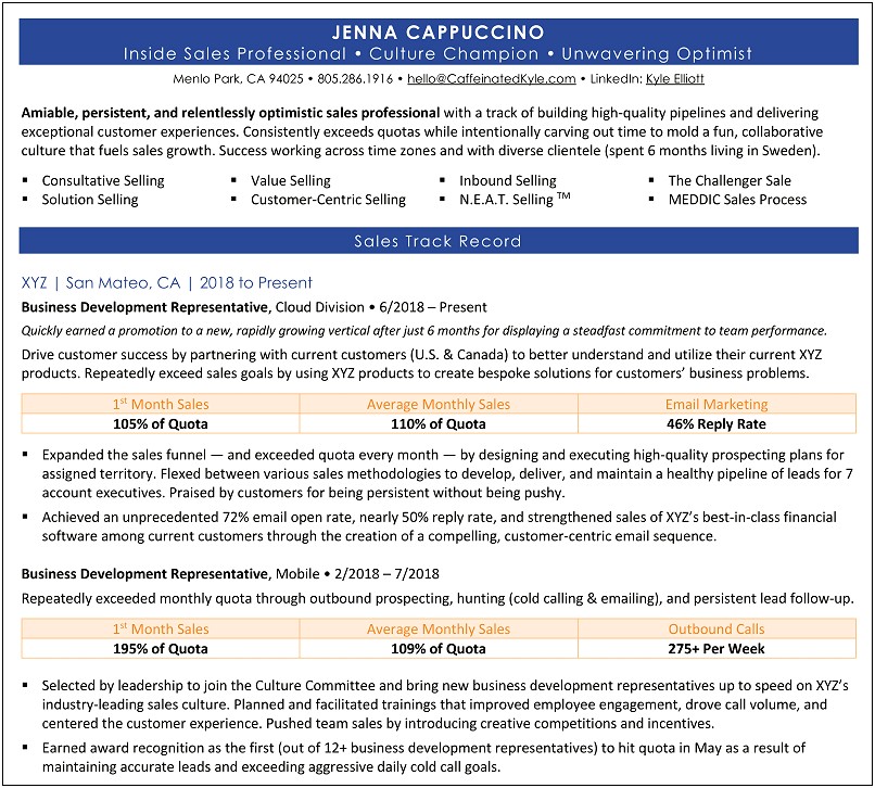 Professional Resume Summary Examples For Changing Careers