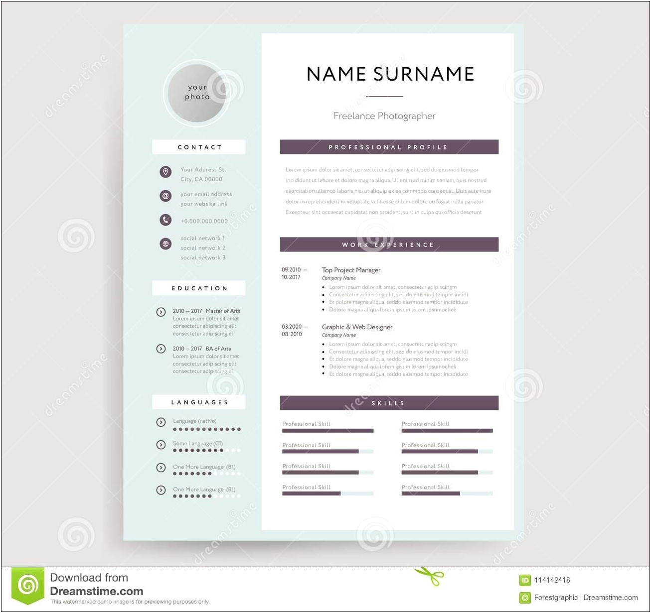 Professional Resume Template 2017 Free