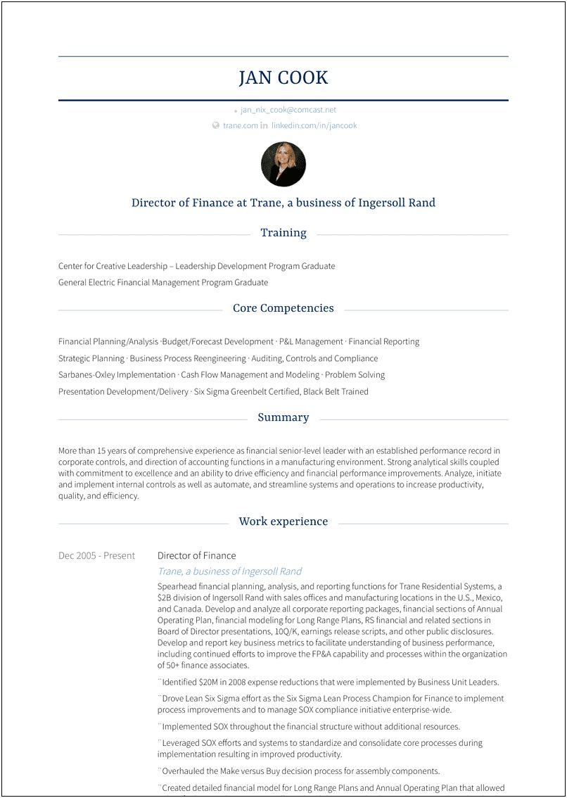 Professional Resume Template For Direct Of Finance