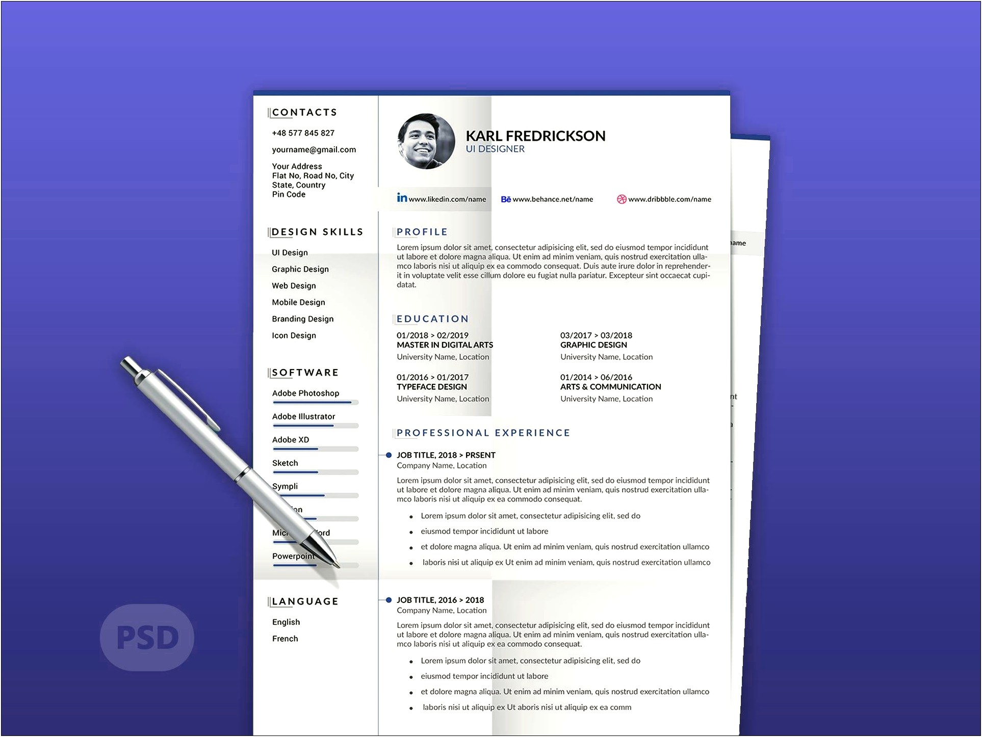 Professional Resume Template Free 2018