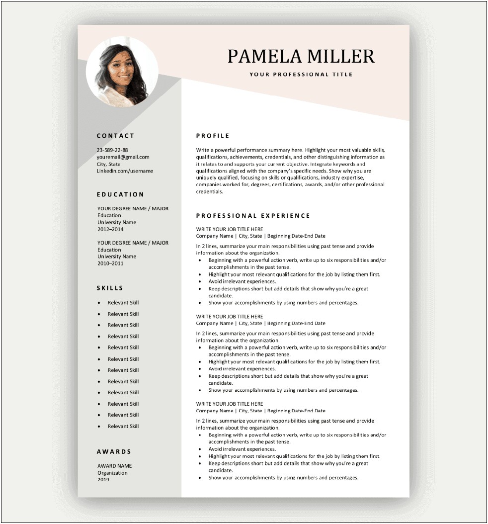 Professional Resume Template Free 2019