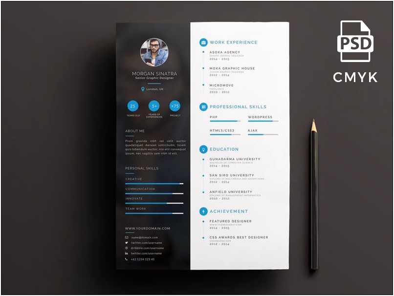 Professional Resume Template Psd Free Download