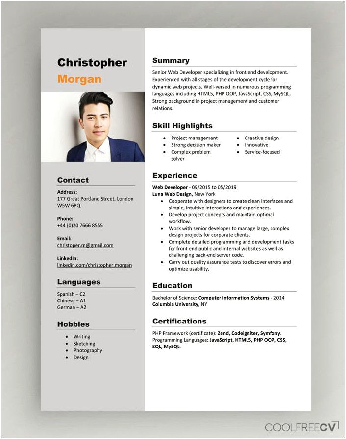 Professional Resume Templates 2019 Free Download