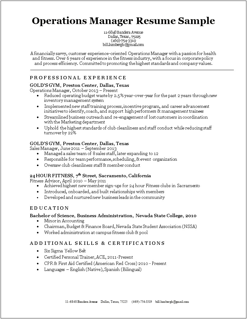 Professional Sales Manager Resume Template