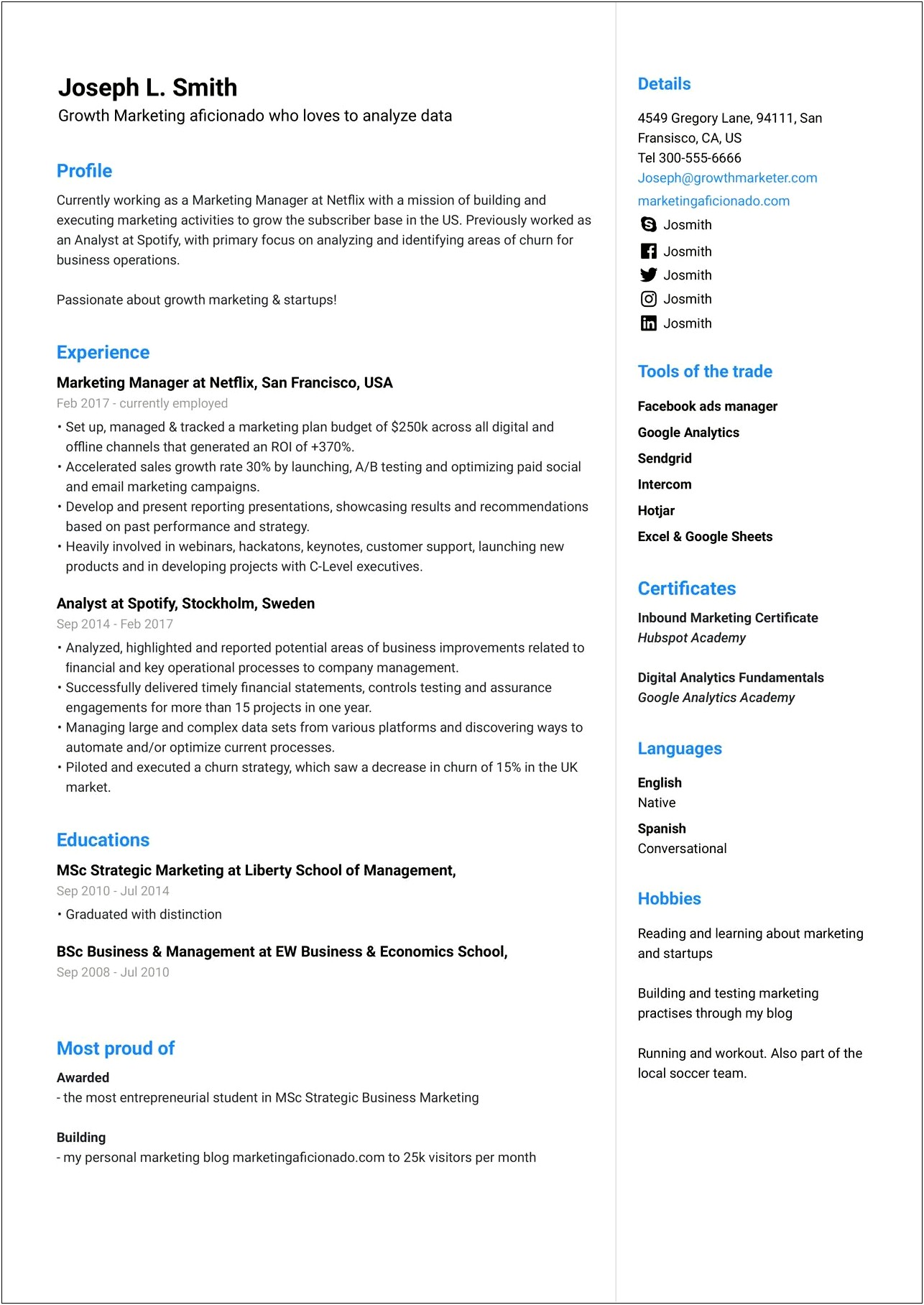Professional Summary Examples For Marketing Resume