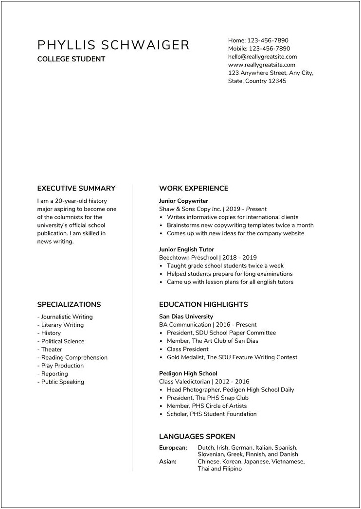 Professional Summary For A High School Student Resume