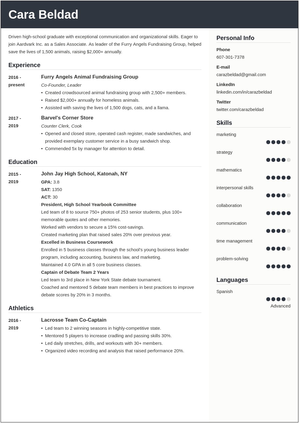 Professional Summary For A Student Resume