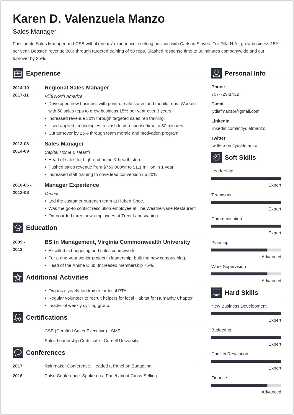 Professional Summary Of A Manager For Resume
