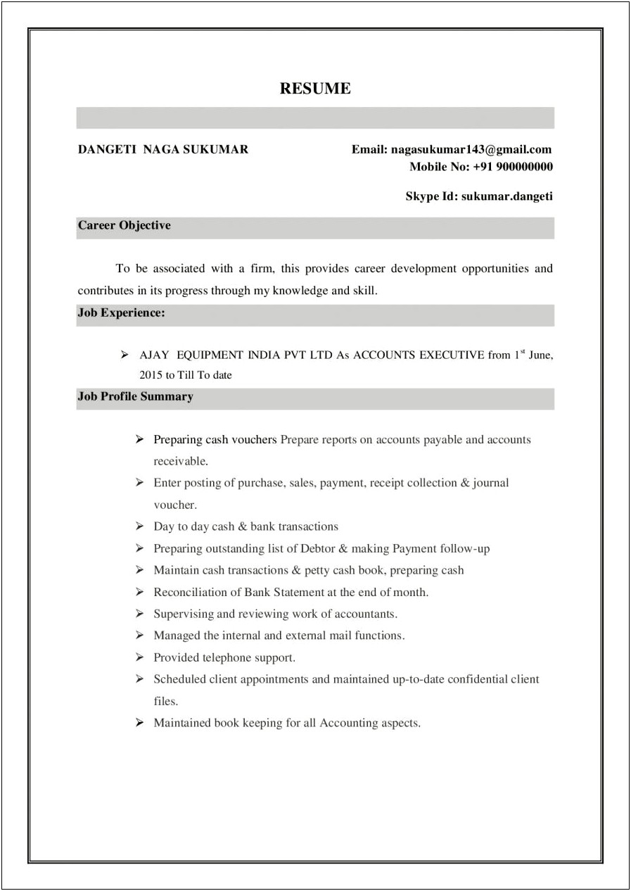 Professional Summary On Resume For Finance