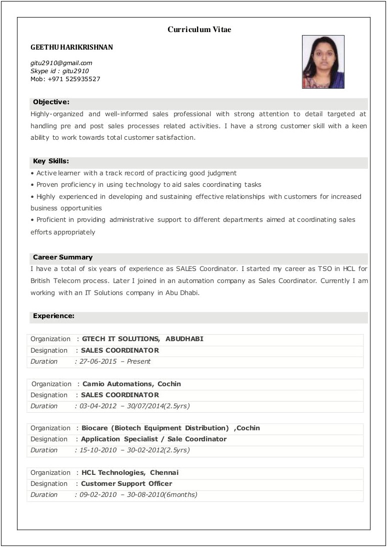 Professional Summary On Resume For Sales