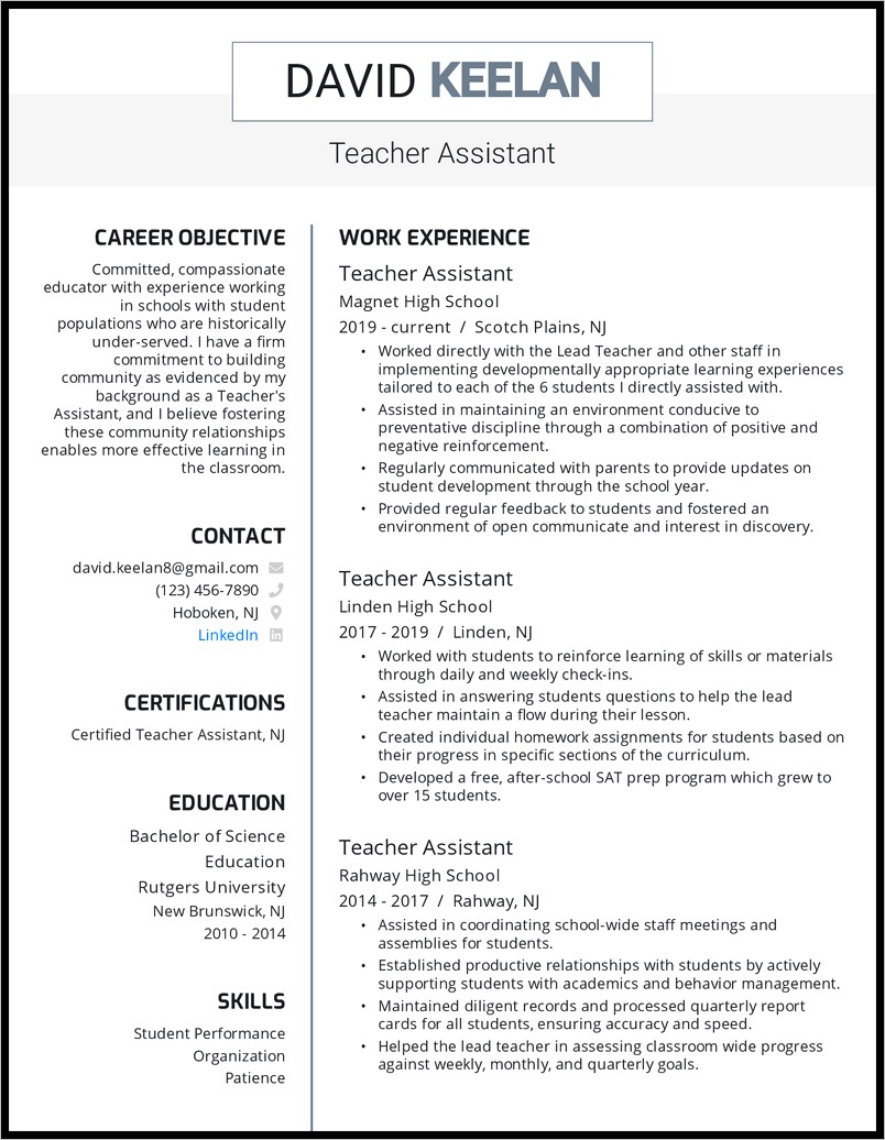 Professional Summary Resume Examples Teacher