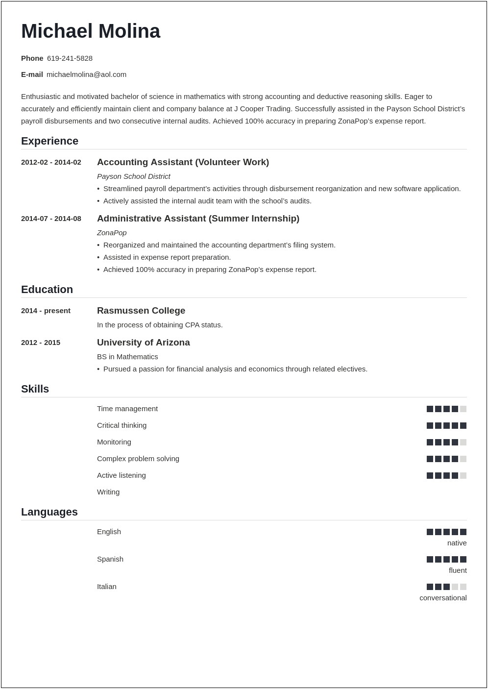 Professional Summary Resume Sample For Accountant