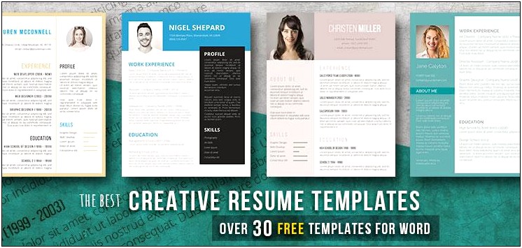 Profile Resume Examples For Creative Marketing Students