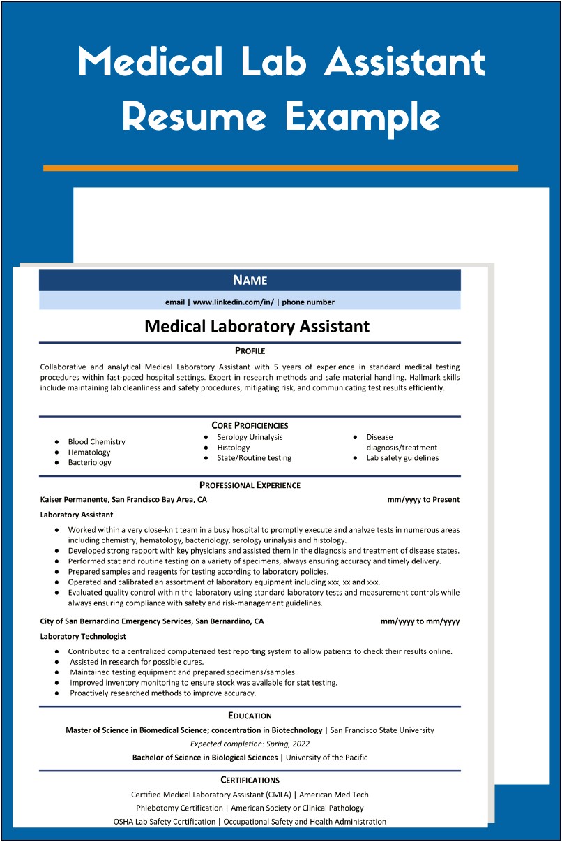 Profile Sample In A Medical Assistant Resume