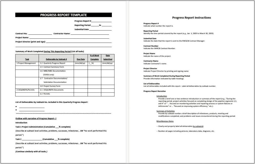 Progress Report Template For Resume Writing