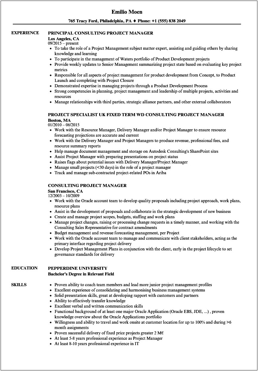 Project Management Consultant Resume Examples
