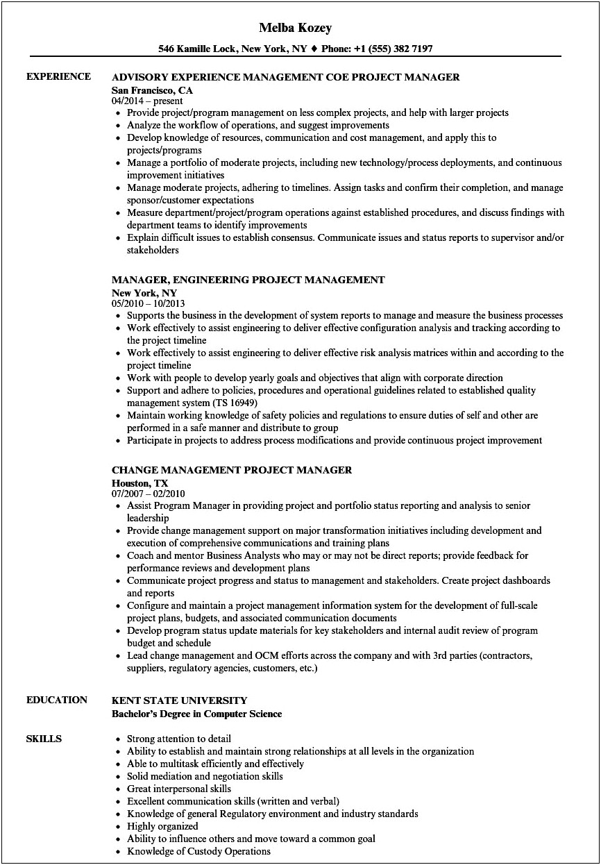 Project Management Resume Technical Skills