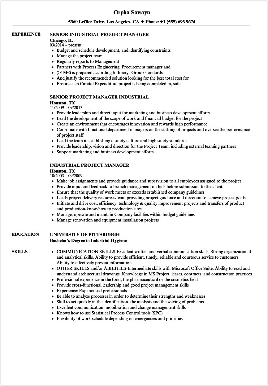 Project Manager Job Objective Resume