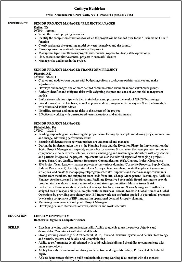 Project Manager Job Resume Responsibilities
