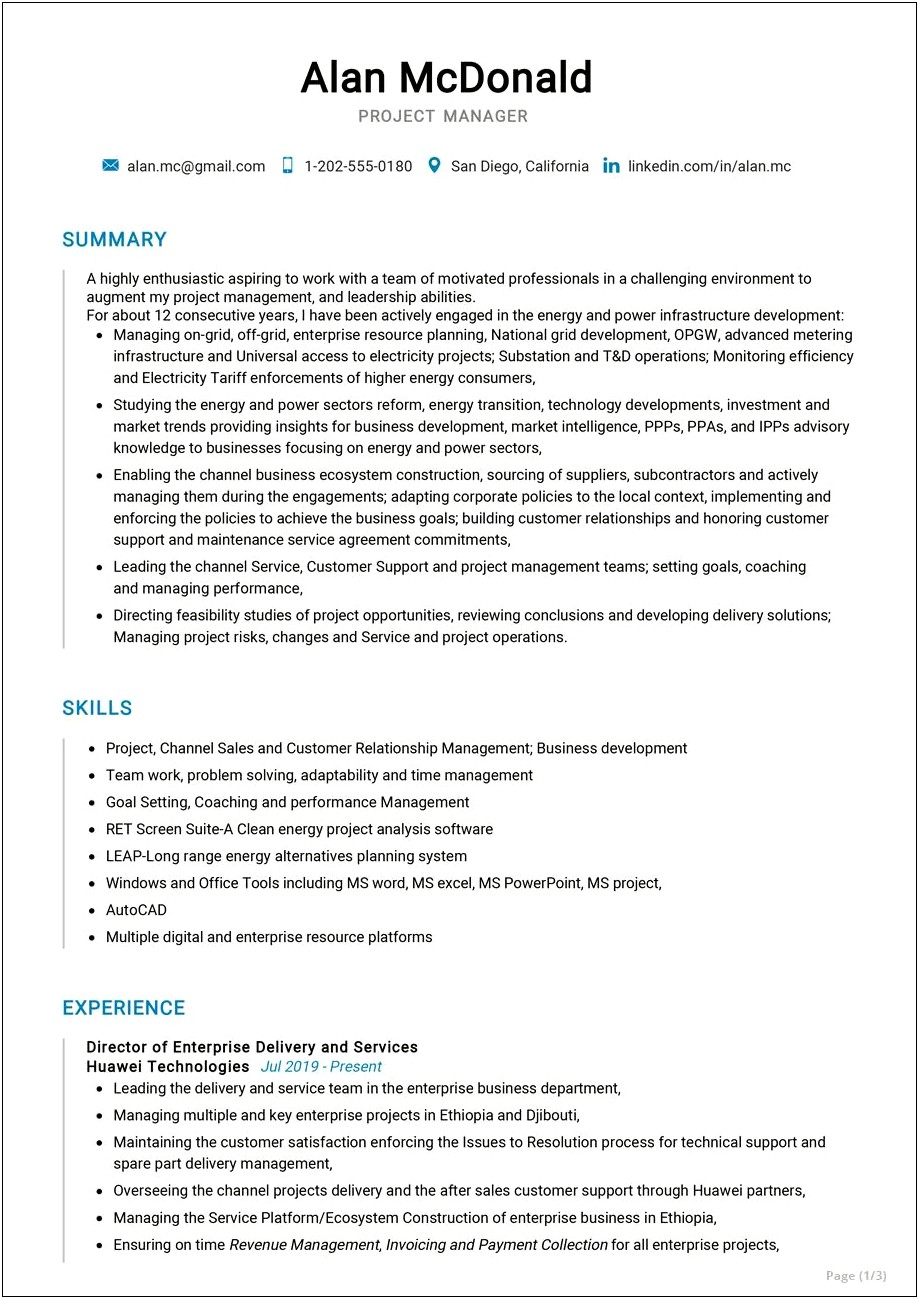 Project Manager Resume Profile Summary