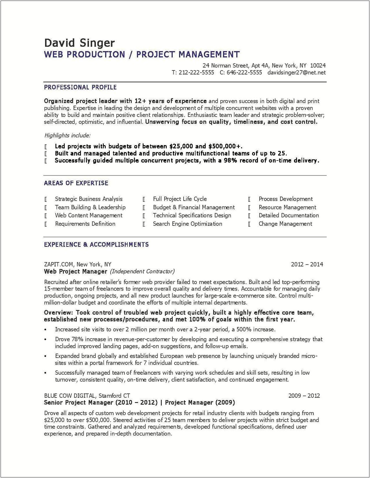 Project Manager Resume Sample Doc
