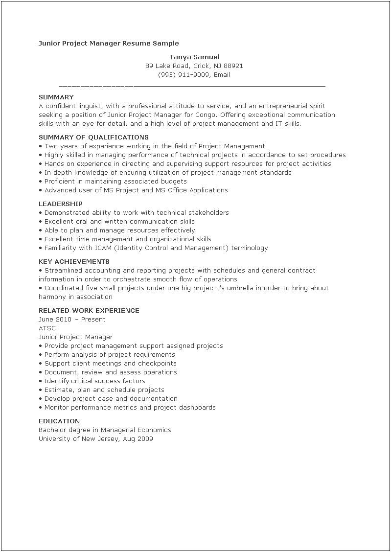 Project Manager Resume Skills Examples