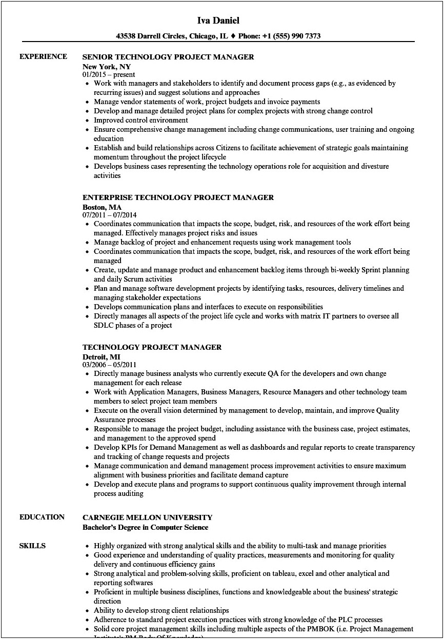 Project Manager Tech Company Resume